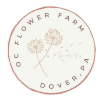 OC Flower Farm located in Dover, PA. Cut Flower Farm & Farmer Florist